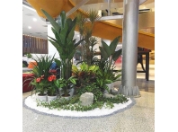 江西绿植案例