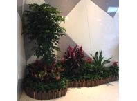 江西绿植案例