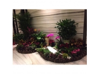 江西绿植案例