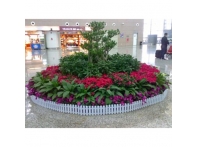 江西绿植案例