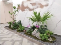 江西绿植案例