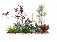 绿植租摆