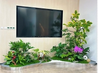 南昌植物出租