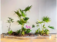 南昌植物租摆