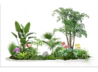 绿植租赁