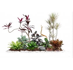 绿植租摆