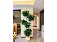 绿宝
